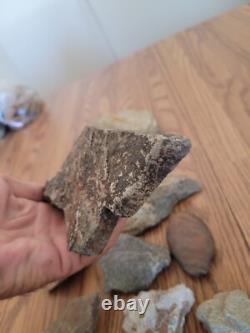 Silver Rabbit Native American Indian Stone Effigy Rock Art, Artifacts, Tools