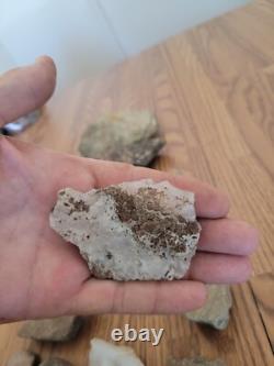Silver Rabbit Native American Indian Stone Effigy Rock Art, Artifacts, Tools
