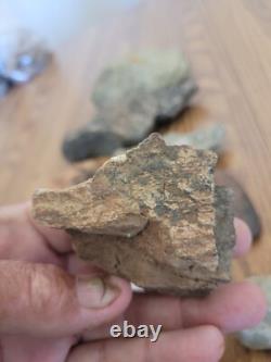 Silver Rabbit Native American Indian Stone Effigy Rock Art, Artifacts, Tools