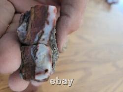 Snake / Dog Petroglyphs Native American Stone Effigy Rock Art, Artifacts, Tools