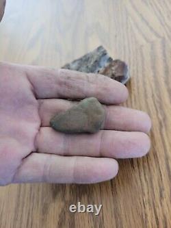 Snake / Dog Petroglyphs Native American Stone Effigy Rock Art, Artifacts, Tools