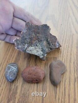 Snake / Dog Petroglyphs Native American Stone Effigy Rock Art, Artifacts, Tools