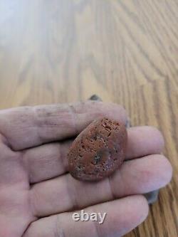 Snake / Dog Petroglyphs Native American Stone Effigy Rock Art, Artifacts, Tools