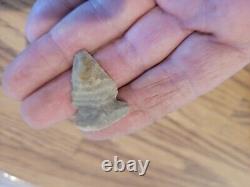 Snake Head Effigy Arrowhead Native American Stone Rock Art, Artifacts, Tools