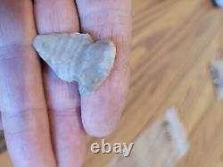 Snake Head Effigy Arrowhead Native American Stone Rock Art, Artifacts, Tools