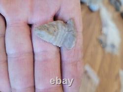 Snake Head Effigy Arrowhead Native American Stone Rock Art, Artifacts, Tools