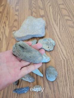 Snake, Lizard Native American Indian Stone Effigy Rock Art, Artifacts, Tools