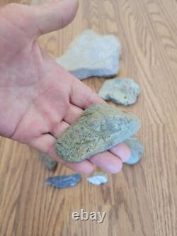 Snake, Lizard Native American Indian Stone Effigy Rock Art, Artifacts, Tools