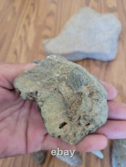 Snake, Lizard Native American Indian Stone Effigy Rock Art, Artifacts, Tools