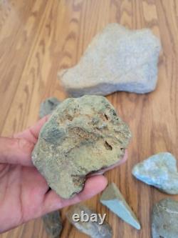 Snake, Lizard Native American Indian Stone Effigy Rock Art, Artifacts, Tools