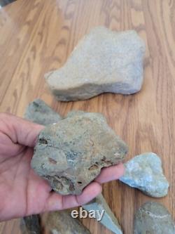 Snake, Lizard Native American Indian Stone Effigy Rock Art, Artifacts, Tools