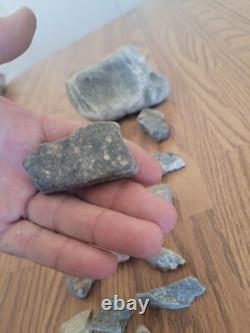 Spinning Cat, Dog Native American Indian Stone Effigy RockArt, Artifacts, Tools