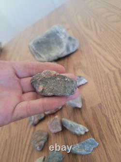 Spinning Cat, Dog Native American Indian Stone Effigy RockArt, Artifacts, Tools