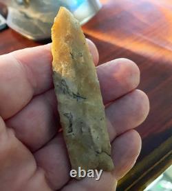 Suwanee Paleo Early Stage