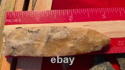 Suwanee Paleo Early Stage