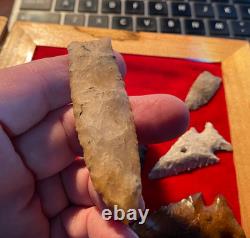 Suwanee Paleo Early Stage