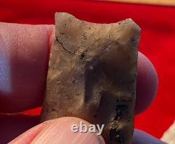 Suwanee Paleo Early Stage