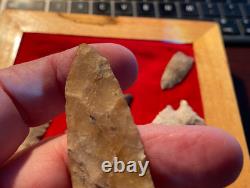 Suwanee Paleo Early Stage