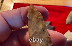 Suwanee Paleo Early Stage