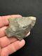 Very Nice Ancient Authentic Classic Pickwick Arrowhead From Nwalabama