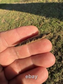 Very Nice Ancient Authentic Creek Stained Big Sandy From North East Mississippi