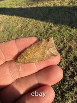 Very Nice Ancient Authentic Creek Stained Big Sandy From North East Mississippi