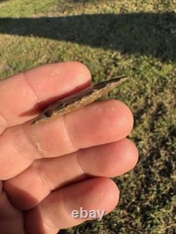 Very Nice Ancient Authentic Creek Stained Big Sandy From North East Mississippi