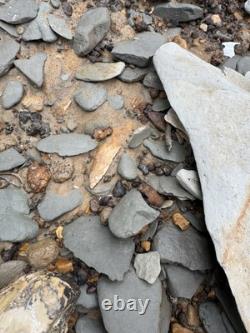 Very Nice Ancient Authentic Raw Gravel Chert Cobbs Arrowhead From NEMississippi