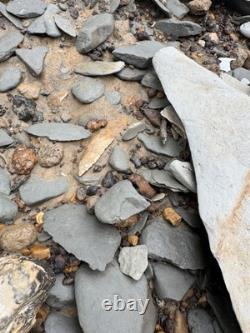 Very Nice Ancient Authentic Raw Gravel Chert Cobbs Arrowhead From NEMississippi