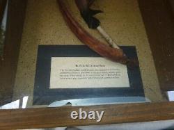 Vintage Antique Early Native Americans Buffalo Rib Dance Bow Weapon Encased