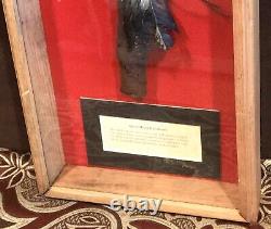 Vintage Antique Early Native Americans Metal Head Tomahawk Weapon Shadowbox Case