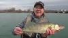 Walleye Fishing Consent Decree 2 Bragging Board Michigan Out Of Doors Tv 2113