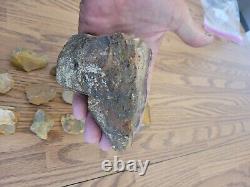 Yellow Coyote + Native American Indian Stone Effigy Rock Art, Artifacts, Tools