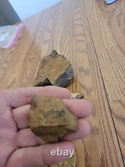 Yellow Coyote + Native American Indian Stone Effigy Rock Art, Artifacts, Tools