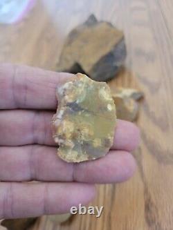 Yellow Coyote + Native American Indian Stone Effigy Rock Art, Artifacts, Tools