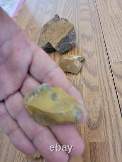 Yellow Coyote + Native American Indian Stone Effigy Rock Art, Artifacts, Tools