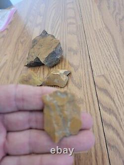 Yellow Coyote + Native American Indian Stone Effigy Rock Art, Artifacts, Tools