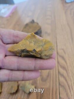 Yellow Coyote + Native American Indian Stone Effigy Rock Art, Artifacts, Tools