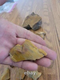 Yellow Coyote + Native American Indian Stone Effigy Rock Art, Artifacts, Tools