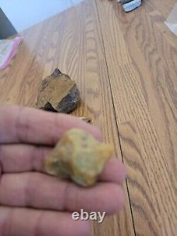 Yellow Coyote + Native American Indian Stone Effigy Rock Art, Artifacts, Tools