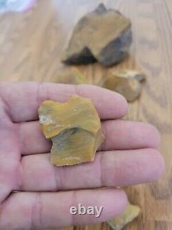 Yellow Coyote + Native American Indian Stone Effigy Rock Art, Artifacts, Tools