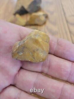 Yellow Coyote + Native American Indian Stone Effigy Rock Art, Artifacts, Tools