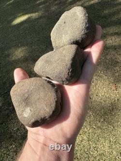 3 très beaux outils en pierre dure de meulage de noix du Mississippi du Nord