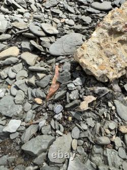 Ancien Authentique Très Coloré Lac Perdu Arrowhead Du Mississippi Nord