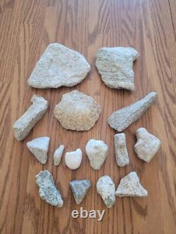 Art rupestre en pierre effigie de l'ours en granit des Amérindiens, artefacts, outils