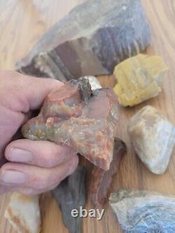 Bison, Oiseau + Art Rupestre en Pierre de Figurines Amérindiennes, Artéfacts, Outils