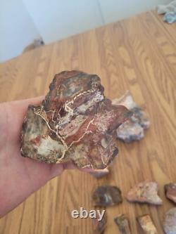 Bobcat / Serpent + Effigie de pierre amérindienne, Art rupestre, Artefacts, Outils