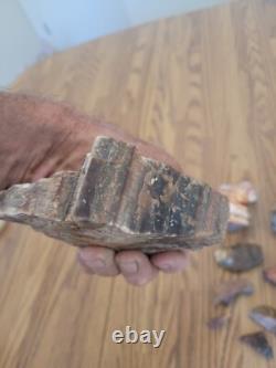 Bobcat / Serpent + Effigie de pierre amérindienne, Art rupestre, Artefacts, Outils