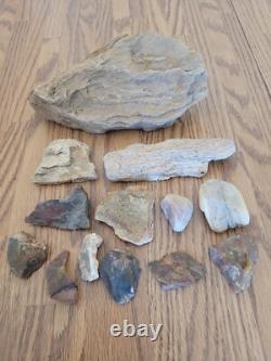 Chèvre de montagne + Art rupestre de l'effigie en pierre amérindienne, artefacts, outils