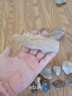 Chèvre de montagne + Art rupestre de l'effigie en pierre amérindienne, artefacts, outils